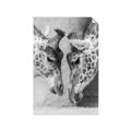 Picture of Giraffe Pals  _GroupedProduct_Rectangle_Portrait_Photography _GroupedProduct_Rectangle_Portrait_Unframed_Print_Only_