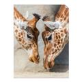 Picture of Giraffe Pals  _GroupedProduct_Rectangle_Portrait_Photography _GroupedProduct_Rectangle_Portrait_Unframed_Print_Only_