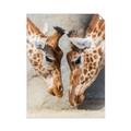 Picture of Giraffe Pals  _GroupedProduct_Rectangle_Portrait_Photography _GroupedProduct_Rectangle_Portrait_Unframed_Print_Only_