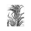Picture of Grass _GroupedProduct_Rectangle_Portrait_Photography _GroupedProduct_Rectangle_Portrait_Unframed_Print_Only_