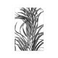 Picture of Grass _GroupedProduct_Rectangle_Portrait_Photography _GroupedProduct_Rectangle_Portrait_Unframed_Print_Only_