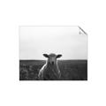 Picture of Grazing Sheep  _GroupedProduct_Rectangle_Landscape_Photography _GroupedProduct_Rectangle_Landscape_Unframed_Print_Only_