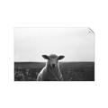 Picture of Grazing Sheep  _GroupedProduct_Rectangle_Landscape_Photography _GroupedProduct_Rectangle_Landscape_Unframed_Print_Only_