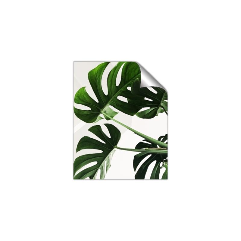 Picture of Green Palms _GroupedProduct_Rectangle_Portrait_Photography _GroupedProduct_Rectangle_Portrait_Unframed_Print_Only_