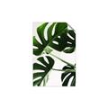 Picture of Green Palms _GroupedProduct_Rectangle_Portrait_Photography _GroupedProduct_Rectangle_Portrait_Unframed_Print_Only_