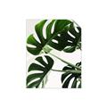 Picture of Green Palms _GroupedProduct_Rectangle_Portrait_Photography _GroupedProduct_Rectangle_Portrait_Unframed_Print_Only_