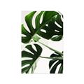 Picture of Green Palms _GroupedProduct_Rectangle_Portrait_Photography _GroupedProduct_Rectangle_Portrait_Unframed_Print_Only_