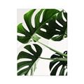 Picture of Green Palms _GroupedProduct_Rectangle_Portrait_Photography _GroupedProduct_Rectangle_Portrait_Unframed_Print_Only_
