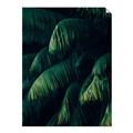 Picture of Greenleaf I _GroupedProduct_Rectangle_Portrait_Photography _GroupedProduct_Rectangle_Portrait_Unframed_Print_Only_