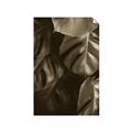 Picture of Greenleaf II _GroupedProduct_Rectangle_Portrait_Photography _GroupedProduct_Rectangle_Portrait_Unframed_Print_Only_