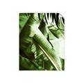Picture of Greenleaf III _GroupedProduct_Rectangle_Portrait_Photography _GroupedProduct_Rectangle_Portrait_Unframed_Print_Only_