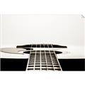 Picture of Guitar II _GroupedProduct_Rectangle_Landscape_Photography _GroupedProduct_Rectangle_Landscape_Unframed_Print_Only_