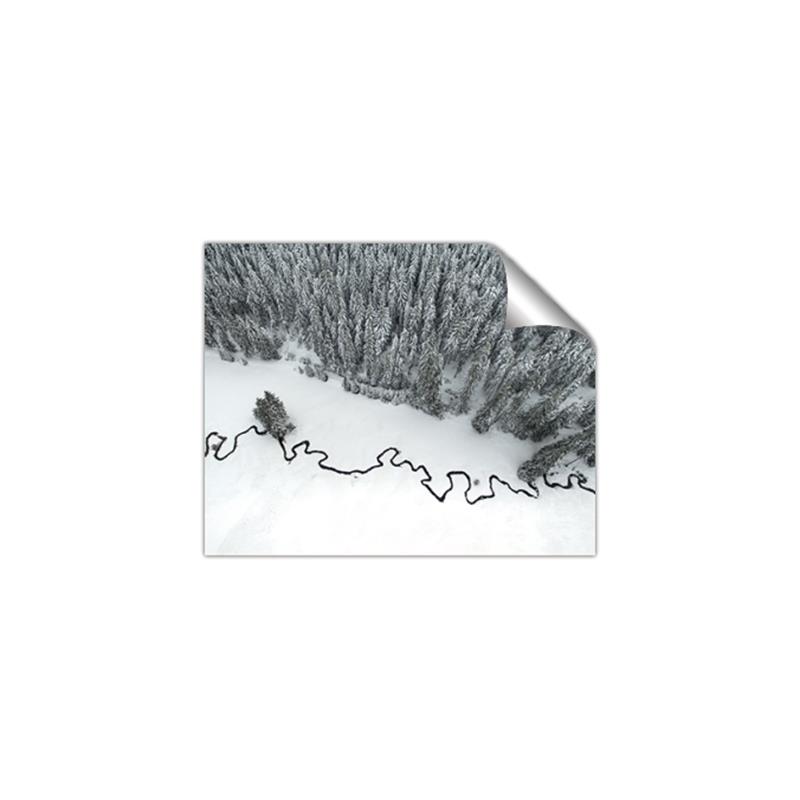 Picture of High Pines  _GroupedProduct_Rectangle_Landscape_Photography _GroupedProduct_Rectangle_Landscape_Unframed_Print_Only_