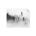 Picture of In the Fog _GroupedProduct_Rectangle_Landscape_Photography _GroupedProduct_Rectangle_Landscape_Unframed_Print_Only_