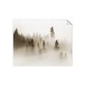 Picture of In the Fog _GroupedProduct_Rectangle_Landscape_Photography _GroupedProduct_Rectangle_Landscape_Unframed_Print_Only_