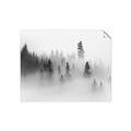 Picture of In the Fog _GroupedProduct_Rectangle_Landscape_Photography _GroupedProduct_Rectangle_Landscape_Unframed_Print_Only_