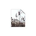 Picture of In the Fields _GroupedProduct_Rectangle_Portrait_Photography _GroupedProduct_Rectangle_Portrait_Unframed_Print_Only_