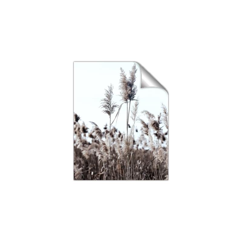 Picture of In the Fields _GroupedProduct_Rectangle_Portrait_Photography _GroupedProduct_Rectangle_Portrait_Unframed_Print_Only_