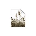 Picture of In the Fields _GroupedProduct_Rectangle_Portrait_Photography _GroupedProduct_Rectangle_Portrait_Unframed_Print_Only_