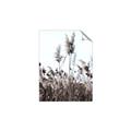 Picture of In the Fields _GroupedProduct_Rectangle_Portrait_Photography _GroupedProduct_Rectangle_Portrait_Unframed_Print_Only_