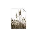 Picture of In the Fields _GroupedProduct_Rectangle_Portrait_Photography _GroupedProduct_Rectangle_Portrait_Unframed_Print_Only_