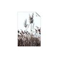 Picture of In the Fields _GroupedProduct_Rectangle_Portrait_Photography _GroupedProduct_Rectangle_Portrait_Unframed_Print_Only_