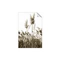 Picture of In the Fields _GroupedProduct_Rectangle_Portrait_Photography _GroupedProduct_Rectangle_Portrait_Unframed_Print_Only_