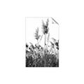 Picture of In the Fields _GroupedProduct_Rectangle_Portrait_Photography _GroupedProduct_Rectangle_Portrait_Unframed_Print_Only_