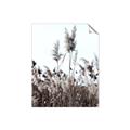 Picture of In the Fields _GroupedProduct_Rectangle_Portrait_Photography _GroupedProduct_Rectangle_Portrait_Unframed_Print_Only_