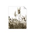 Picture of In the Fields _GroupedProduct_Rectangle_Portrait_Photography _GroupedProduct_Rectangle_Portrait_Unframed_Print_Only_