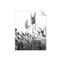 Picture of In the Fields _GroupedProduct_Rectangle_Portrait_Photography _GroupedProduct_Rectangle_Portrait_Unframed_Print_Only_