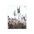 Picture of In the Fields _GroupedProduct_Rectangle_Portrait_Photography _GroupedProduct_Rectangle_Portrait_Unframed_Print_Only_