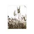 Picture of In the Fields _GroupedProduct_Rectangle_Portrait_Photography _GroupedProduct_Rectangle_Portrait_Unframed_Print_Only_