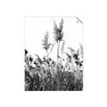 Picture of In the Fields _GroupedProduct_Rectangle_Portrait_Photography _GroupedProduct_Rectangle_Portrait_Unframed_Print_Only_