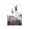 Picture of In the Fields _GroupedProduct_Rectangle_Portrait_Photography _GroupedProduct_Rectangle_Portrait_Unframed_Print_Only_