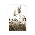 Picture of In the Fields _GroupedProduct_Rectangle_Portrait_Photography _GroupedProduct_Rectangle_Portrait_Unframed_Print_Only_