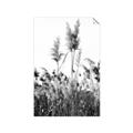 Picture of In the Fields _GroupedProduct_Rectangle_Portrait_Photography _GroupedProduct_Rectangle_Portrait_Unframed_Print_Only_