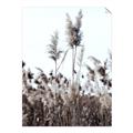 Picture of In the Fields _GroupedProduct_Rectangle_Portrait_Photography _GroupedProduct_Rectangle_Portrait_Unframed_Print_Only_
