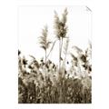 Picture of In the Fields _GroupedProduct_Rectangle_Portrait_Photography _GroupedProduct_Rectangle_Portrait_Unframed_Print_Only_