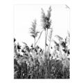 Picture of In the Fields _GroupedProduct_Rectangle_Portrait_Photography _GroupedProduct_Rectangle_Portrait_Unframed_Print_Only_