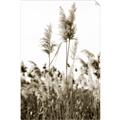 Picture of In the Fields _GroupedProduct_Rectangle_Portrait_Photography _GroupedProduct_Rectangle_Portrait_Unframed_Print_Only_
