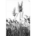 Picture of In the Fields _GroupedProduct_Rectangle_Portrait_Photography _GroupedProduct_Rectangle_Portrait_Unframed_Print_Only_