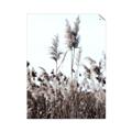 Picture of In the Fields _GroupedProduct_Rectangle_Portrait_Photography _GroupedProduct_Rectangle_Portrait_Unframed_Print_Only_