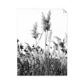 Picture of In the Fields _GroupedProduct_Rectangle_Portrait_Photography _GroupedProduct_Rectangle_Portrait_Unframed_Print_Only_