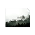 Picture of In the Mist _GroupedProduct_Rectangle_Landscape_Photography _GroupedProduct_Rectangle_Landscape_Unframed_Print_Only_