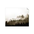 Picture of In the Mist _GroupedProduct_Rectangle_Landscape_Photography _GroupedProduct_Rectangle_Landscape_Unframed_Print_Only_