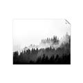 Picture of In the Mist _GroupedProduct_Rectangle_Landscape_Photography _GroupedProduct_Rectangle_Landscape_Unframed_Print_Only_