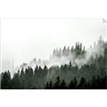 Picture of In the Mist _GroupedProduct_Rectangle_Landscape_Photography _GroupedProduct_Rectangle_Landscape_Unframed_Print_Only_