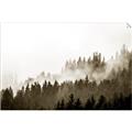 Picture of In the Mist _GroupedProduct_Rectangle_Landscape_Photography _GroupedProduct_Rectangle_Landscape_Unframed_Print_Only_