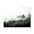 Picture of In the Mist _GroupedProduct_Rectangle_Landscape_Photography _GroupedProduct_Rectangle_Landscape_Unframed_Print_Only_